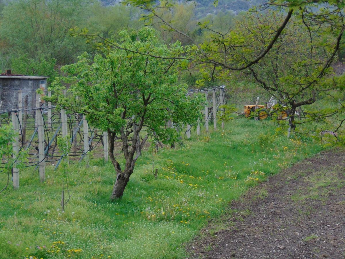 Studio And Winery Kalimut Virpazar Dış mekan fotoğraf